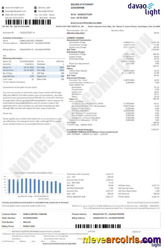 USA DAVAO LIGHT utility bill